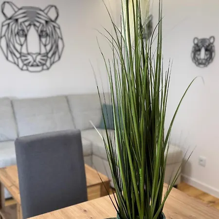 Jaracza By Dreamap Łódź