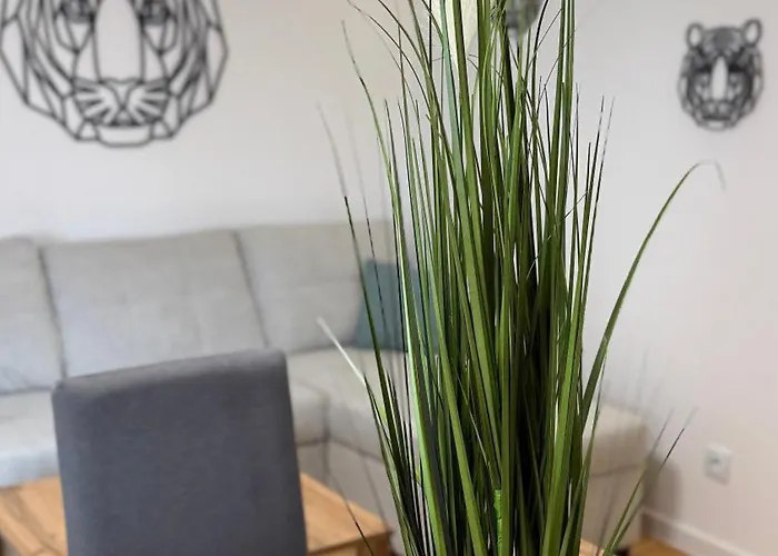 Jaracza By Dreamap לודז'